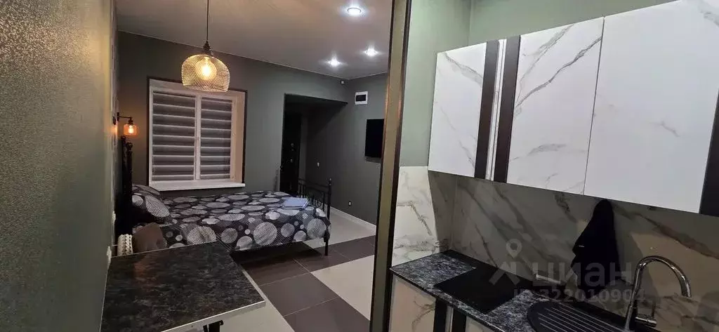 Студия Орловская область, Мценск ул. Тургенева, 170А (22.0 м) - Фото 2