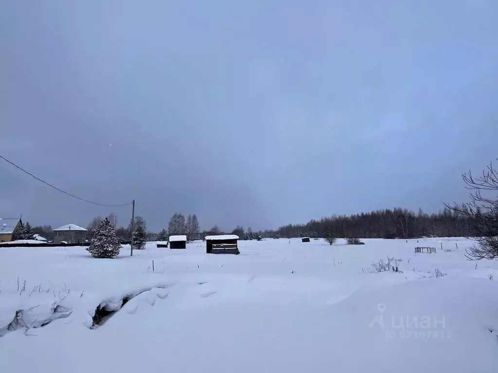 Участок в Ярославская область, Переславль-Залесский городской округ, ... - Фото 1