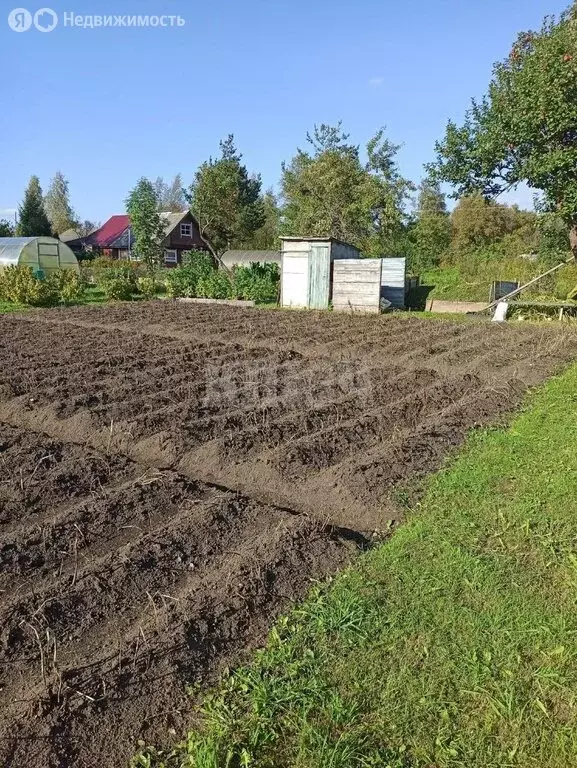 Дом в Сокол, садоводческое товарищество Садовод-2 (17 м) - Фото 1