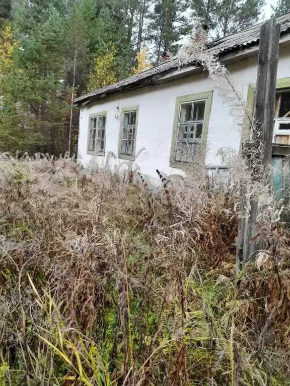 Помещение свободного назначения в Карелия, Лоухский район, пос. ... - Фото 1