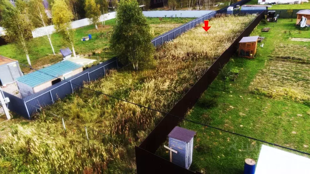 Участок в Московская область, Чехов муниципальный округ, с. Шарапово  ... - Фото 2