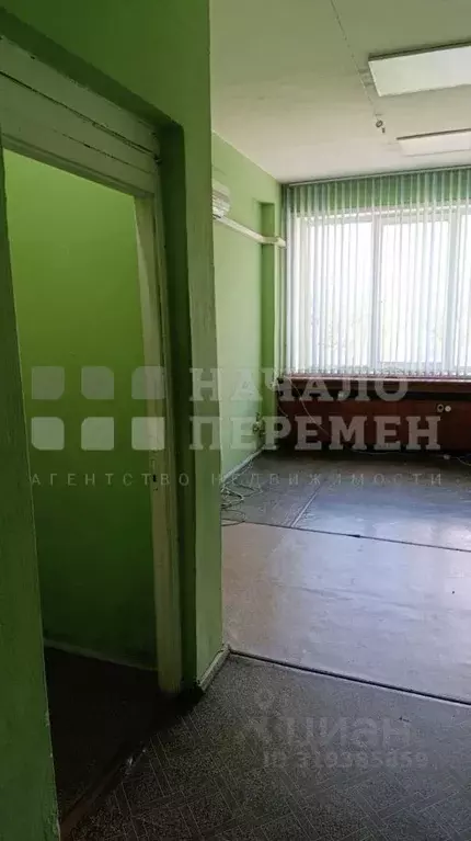 Офис в Новосибирская область, Новосибирск ул. Семьи Шамшиных, 99 (18 ... - Фото 0