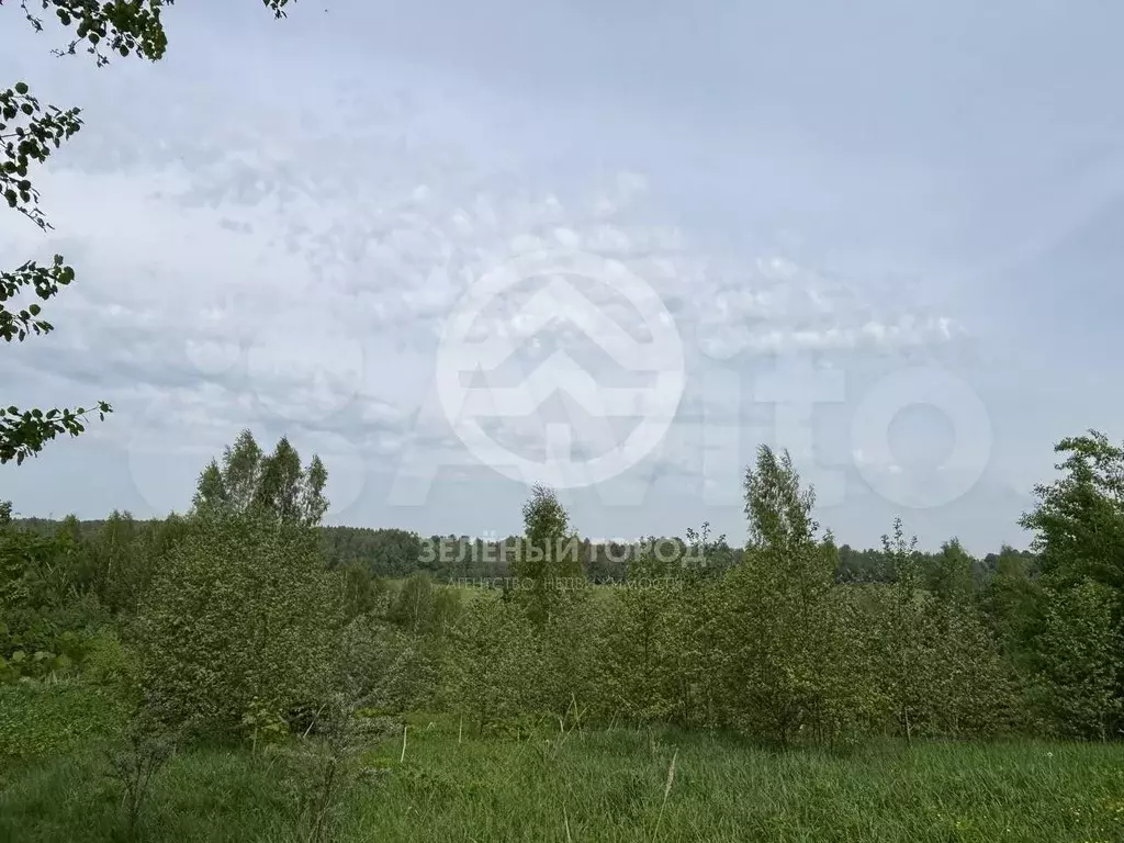 Участок 16 сот. (ИЖС) - Фото 1