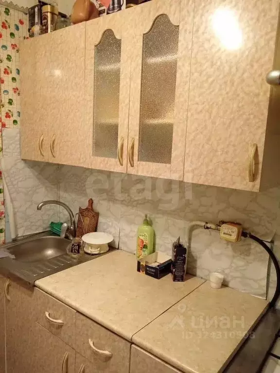 1-к кв. Пермский край, Пермь ул. Маршала Рыбалко, 44 (30.3 м) - Фото 1