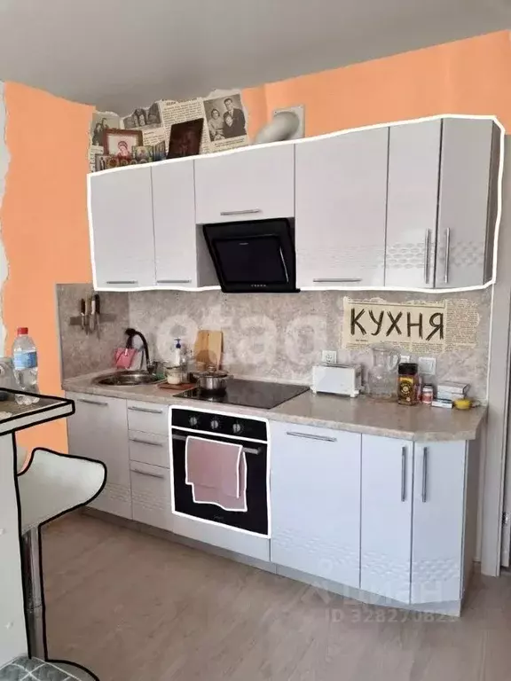 Студия Удмуртия, Ижевск ул. 10 лет Октября, 67 (27.7 м) - Фото 2