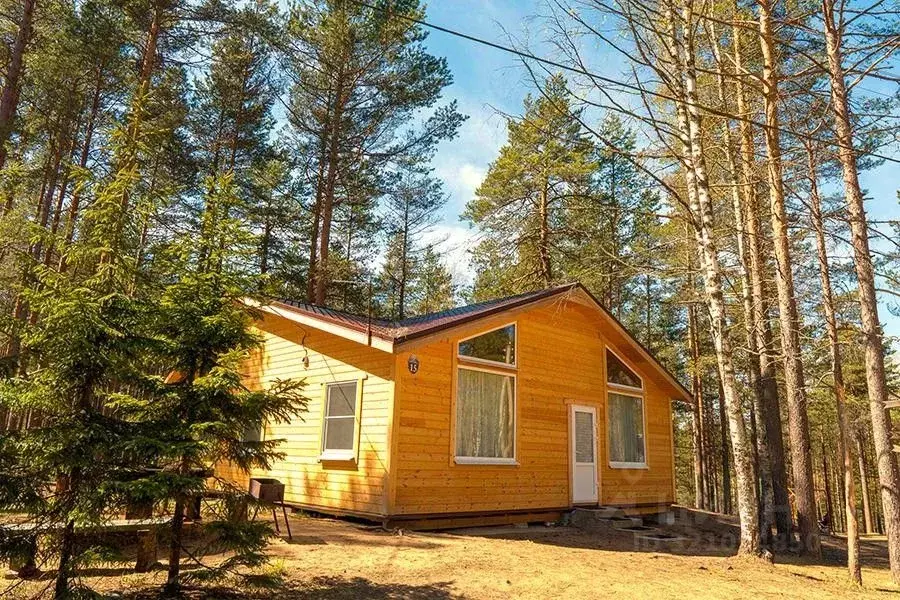 Дом в Курская область, Касторенский район, с. Орехово  (70 м) - Фото 1