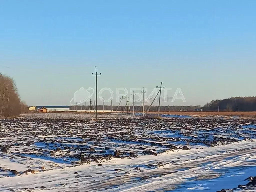 Участок в Тюменская область, Тюменский район, с. Горьковка  (6.0 сот.) - Фото 0