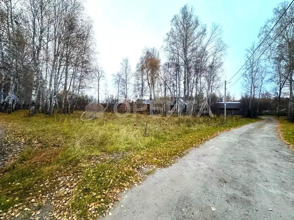 Участок в Тюменская область, Тюменский муниципальный округ, д. ... - Фото 2