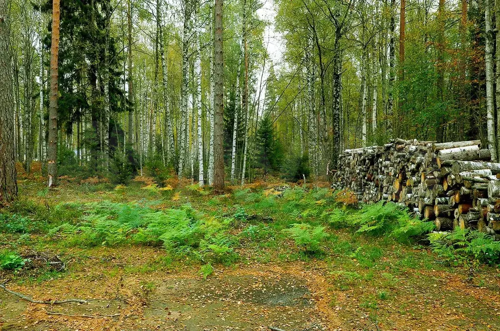 Участок 9,4 сот. (СНТ, ДНП) - Фото 1