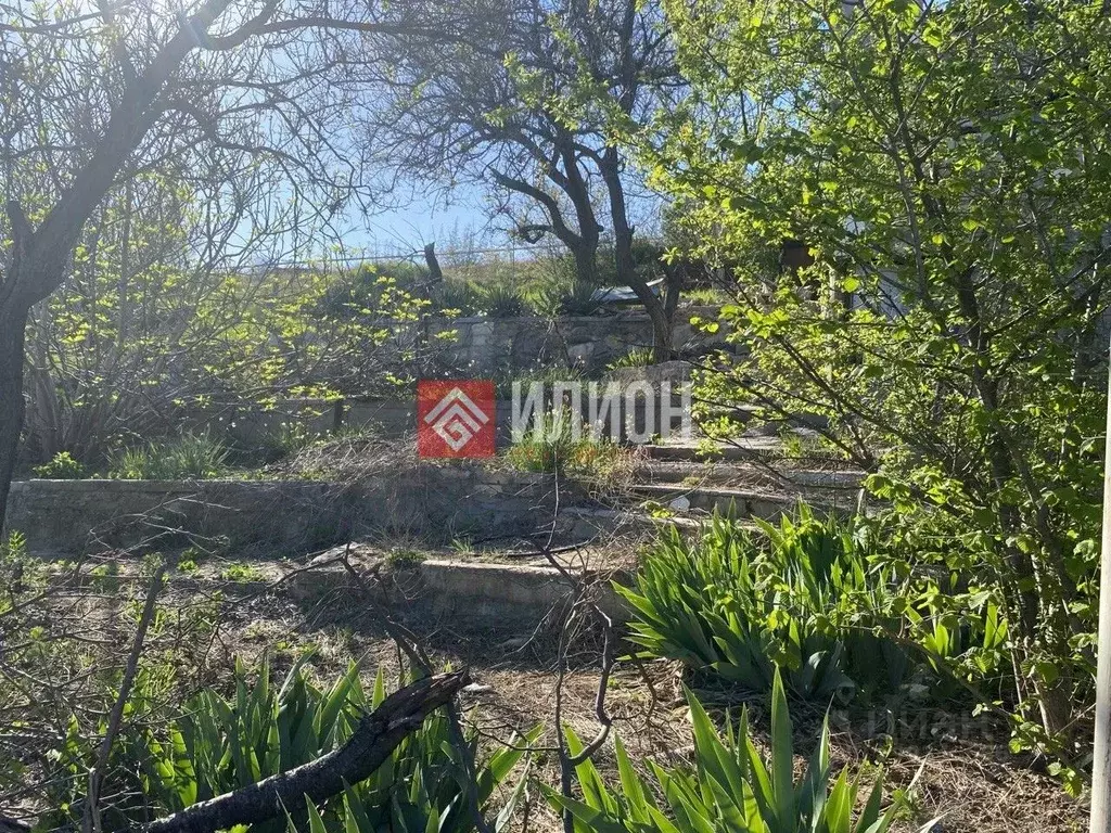 Участок в Севастополь Голландия ТСН, 27к3 (9.0 сот.) - Фото 2