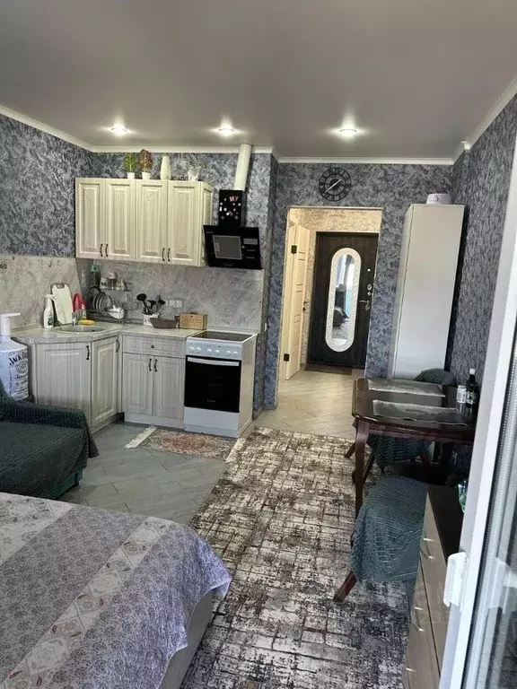 Студия Краснодарский край, Анапа Владимирская ул., 154к4 (23.5 м) - Фото 1