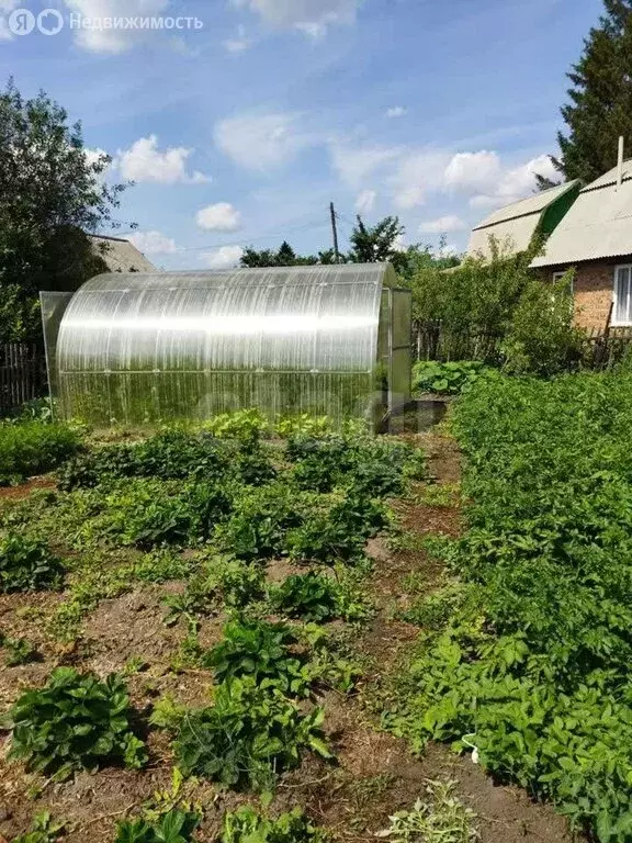 Дом в Омск, территория СОСН Юбилейный, 16-я аллея (24 м) - Фото 2