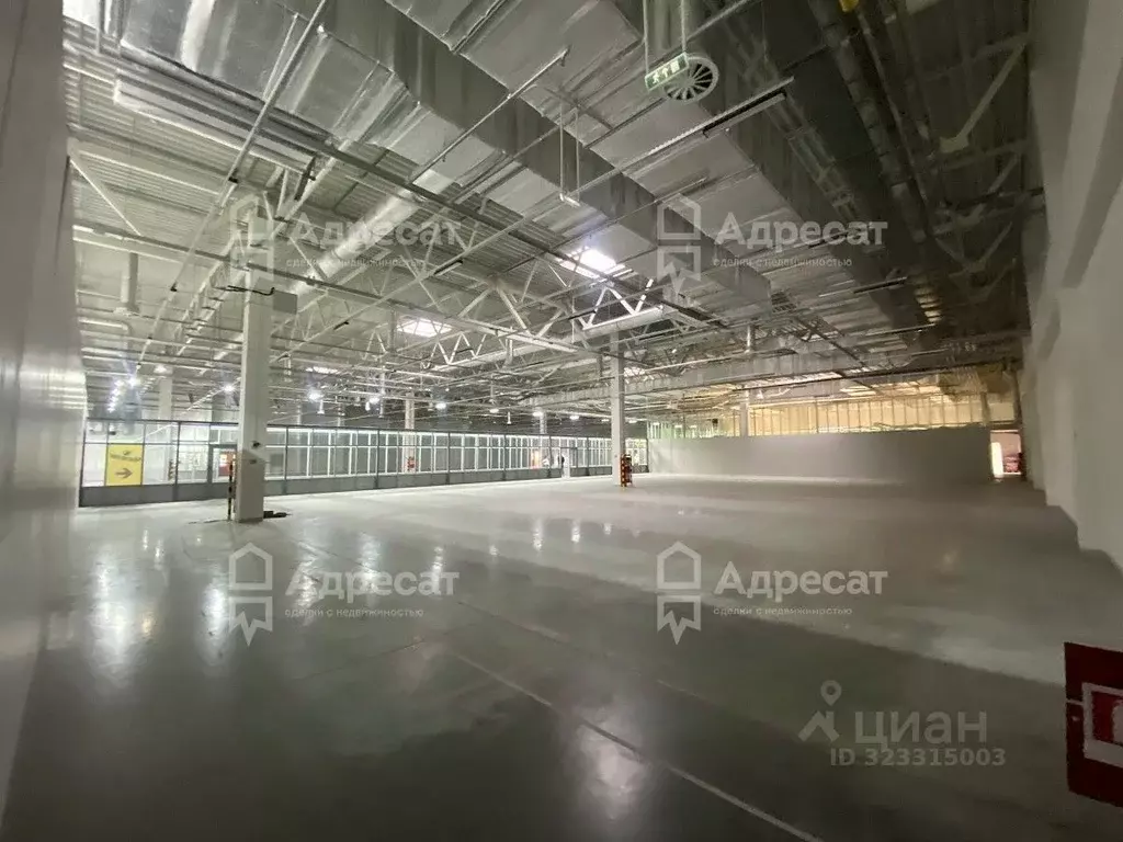 Офис в Волгоградская область, Волжский ул. Александрова, 8Б (840 м) - Фото 2