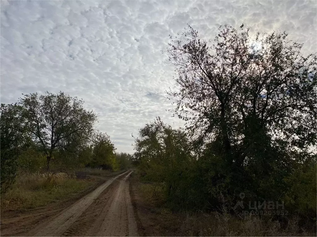 Участок в Ростовская область, Родионово-Несветайский район, ... - Фото 1