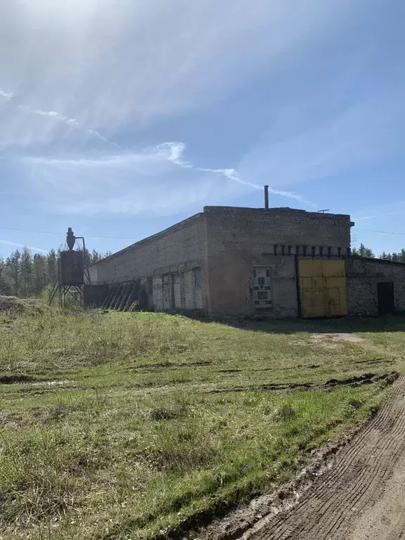 Производственное помещение в Псковская область, Стругокрасненский ... - Фото 0