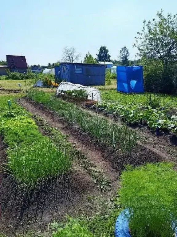 Участок в Ярославская область, Ярославский муниципальный округ, ... - Фото 1