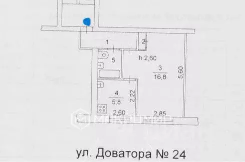 1-к кв. Челябинская область, Челябинск ул. Доватора, 24 (31.5 м) - Фото 1