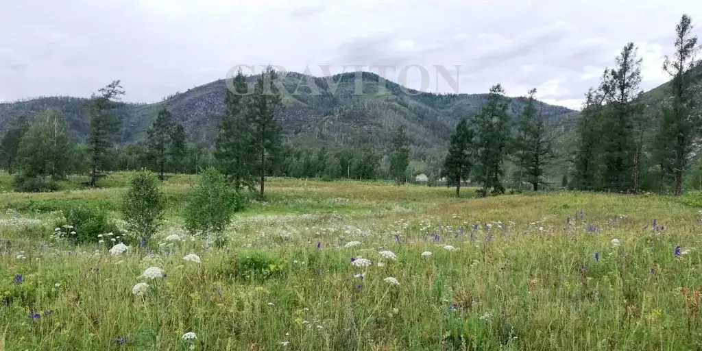 Участок в Алтай, Усть-Коксинский район, с. Катанда  (35924.0 сот.) - Фото 1