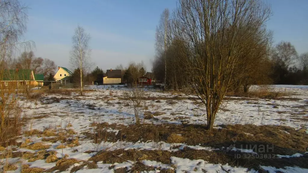 Участок в Московская область, Рузский муниципальный округ, д. Ватулино ... - Фото 2