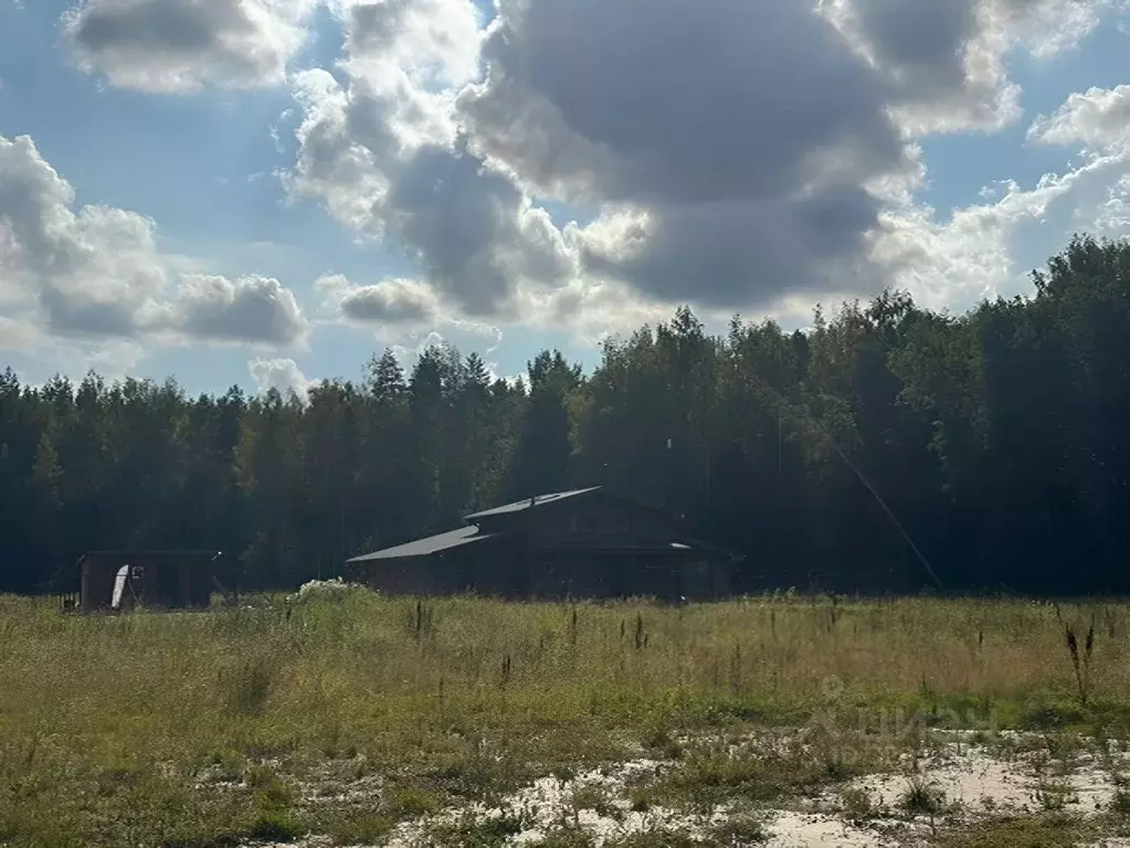 Участок в Ленинградская область, Приозерский район, Красноозерное ... - Фото 2