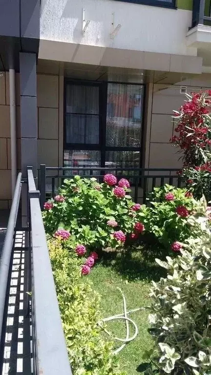 Студия Краснодарский край, Сочи ул. Гастелло, 28 (28.0 м) - Фото 2