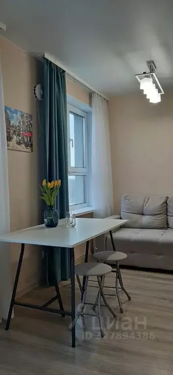 Студия Свердловская область, Екатеринбург ул. Мраморская, 4 (30.0 м) - Фото 2