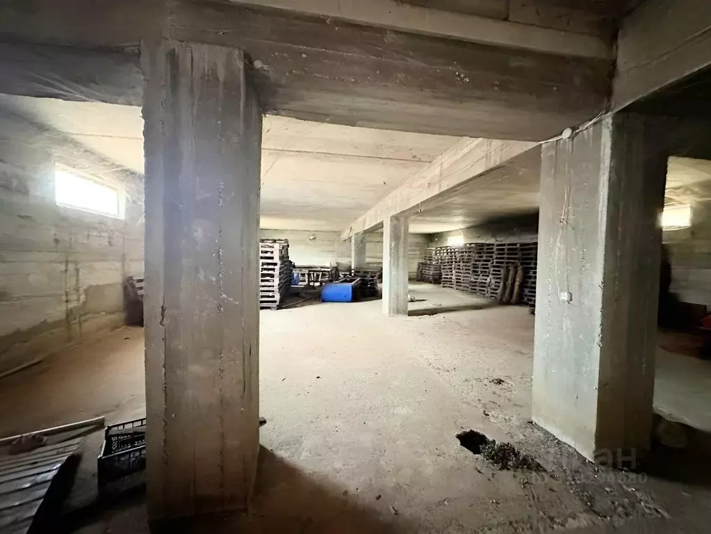 Помещение свободного назначения в Тульская область, Новомосковск ул. ... - Фото 1