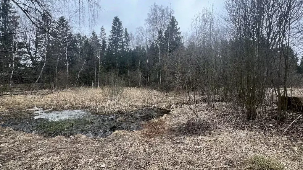 Участок в Московская область, Истра муниципальный округ, д. Часовня  ... - Фото 0