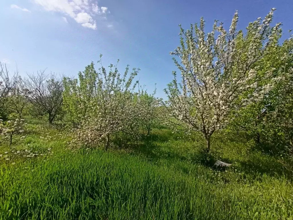 Участок в Краснодарский край, Анапа муниципальный округ, Гостагаевская ... - Фото 1