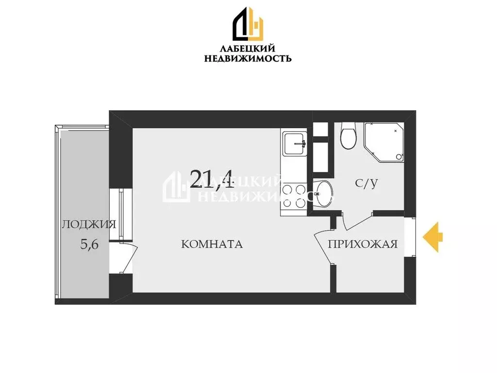 Квартира-студия: Мурино, Ручьёвский проспект, 3к1 (21.4 м) - Фото 0