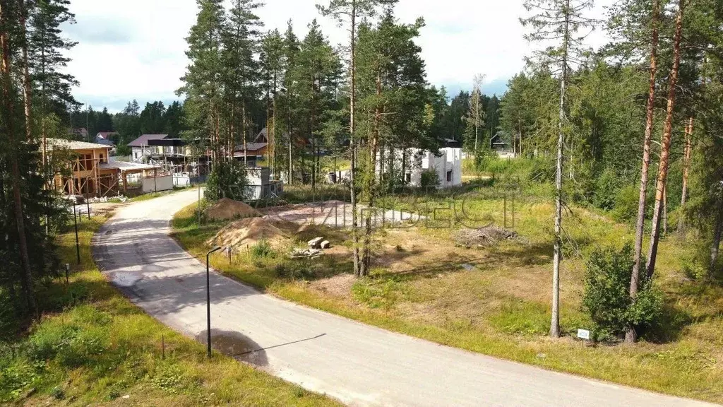 Участок в Ленинградская область, Выборгский район, Рощино пгт, КП ... - Фото 2