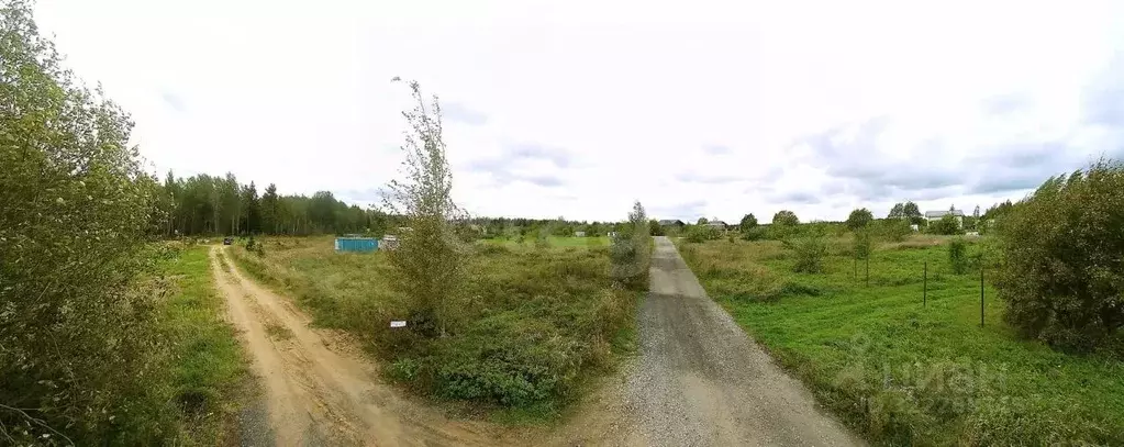 Участок в Ленинградская область, Кингисеппский район, Нежновское ... - Фото 1