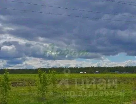 Участок в Москва д. Ширяево, ул. Русское Поле, 41к1 (12.0 сот.) - Фото 1