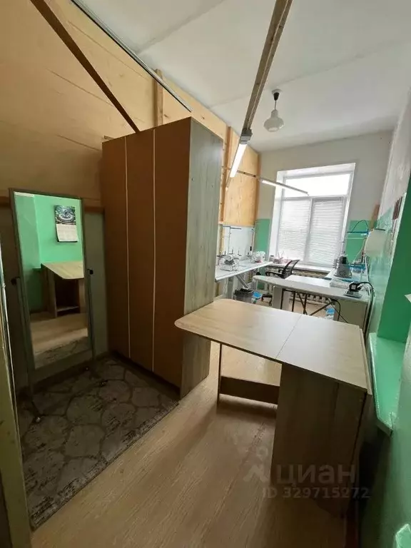 Помещение свободного назначения в Самарская область, Сергиевский ... - Фото 1