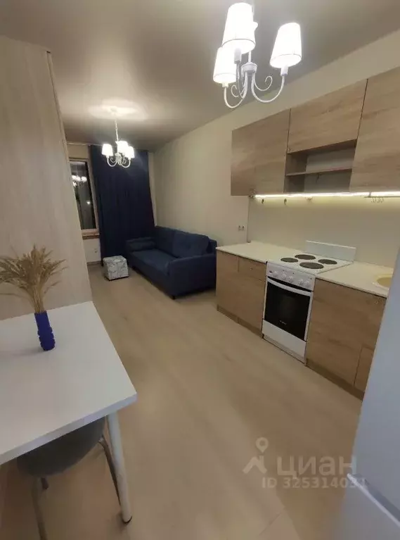 Студия Ленинградская область, Мурино Всеволожский район, бул. ... - Фото 1