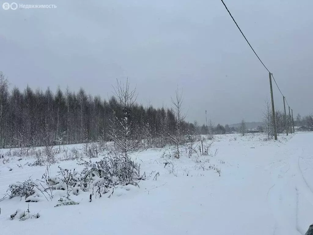 Участок в Московская область, городской округ Солнечногорск, деревня ... - Фото 1