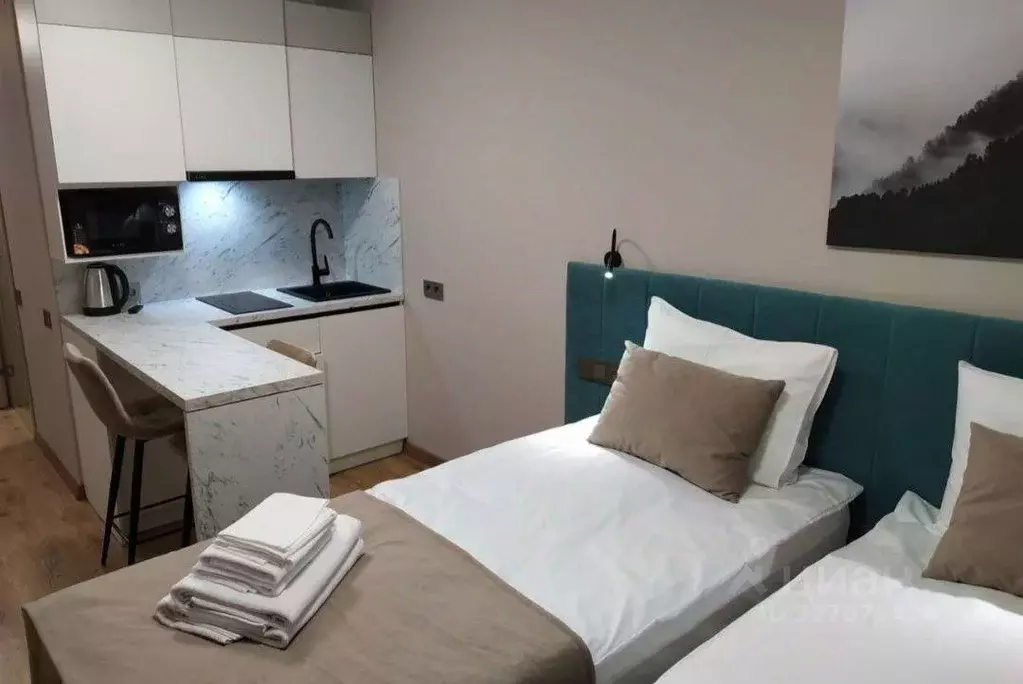 Студия Санкт-Петербург просп. Стачек, 64 (25.0 м) - Фото 1