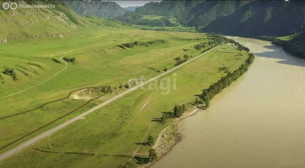 Участок в Чемальский район, село Чемал (11.8 м) - Фото 1