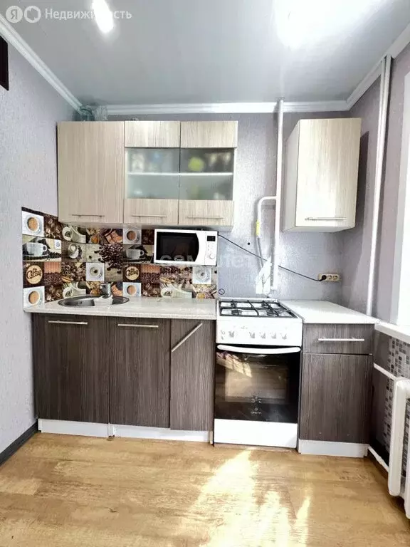 1-комнатная квартира: Орехово-Зуево, улица Бирюкова, 10 (30.8 м) - Фото 1