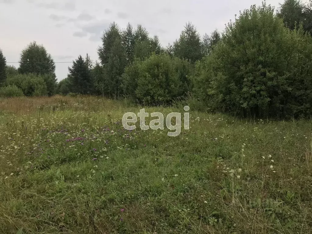 Участок в Свердловская область, Верхнесалдинский городской округ, д. ... - Фото 0