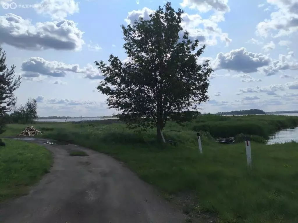Участок в Псковская область, Невель (15 м) - Фото 1