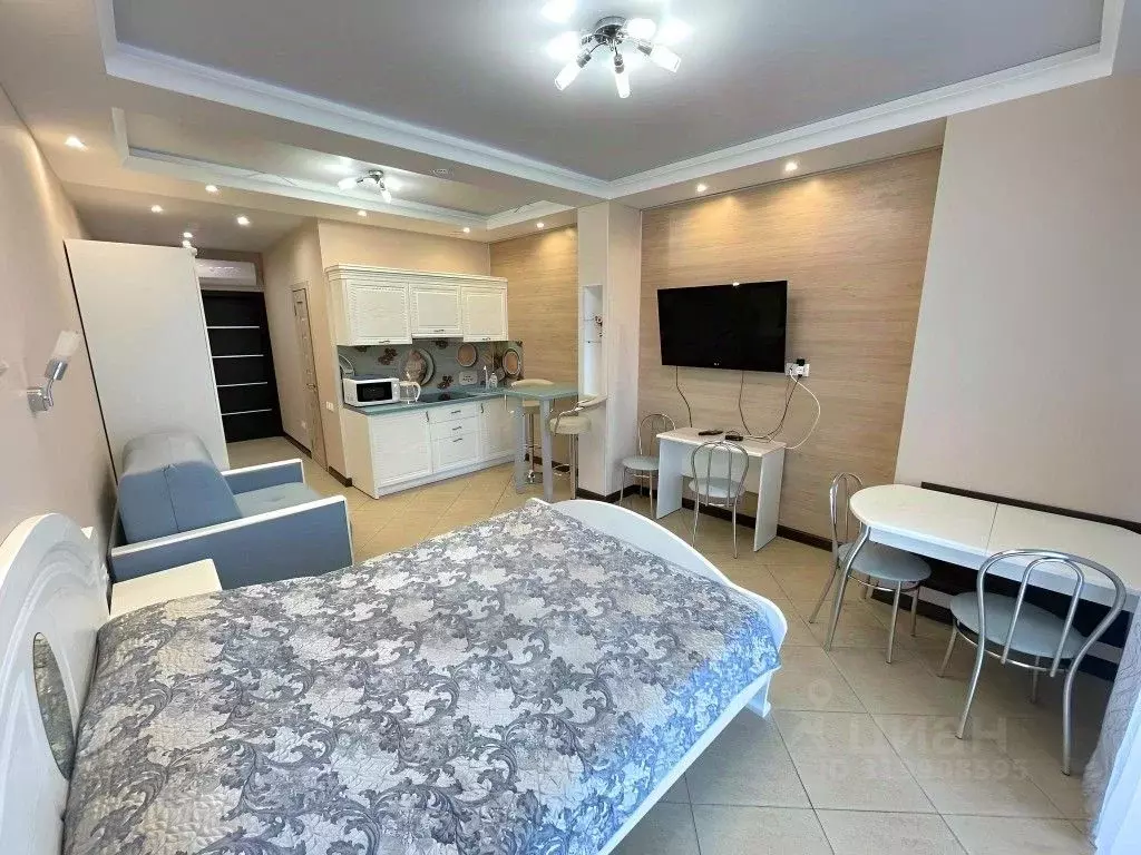 1-к кв. Краснодарский край, Сочи Курортный просп., 105 (45.0 м) - Фото 2