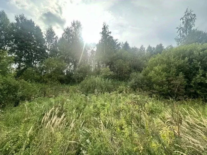 Участок в Московская область, Богородский городской округ, с. Стромынь ... - Фото 1