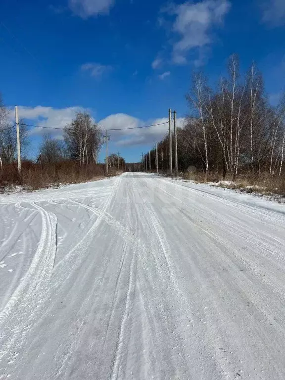 Участок в Тульская область, Тула городской округ, д. Дементеево, ... - Фото 0