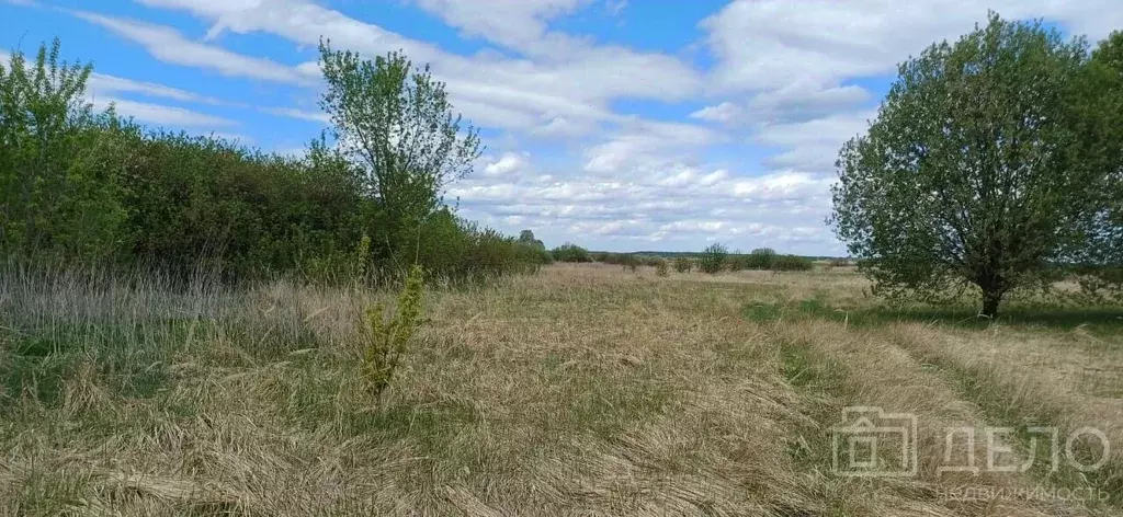 Участок в Рязанская область, Спасский район, Киструсское с/пос, с. ... - Фото 2