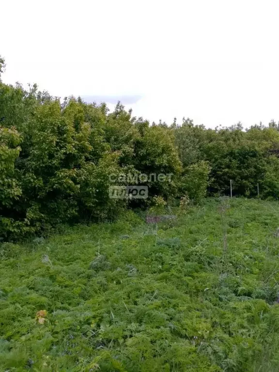 участок в липецкая область, задонский район, донской сельсовет, д. . - Фото 0