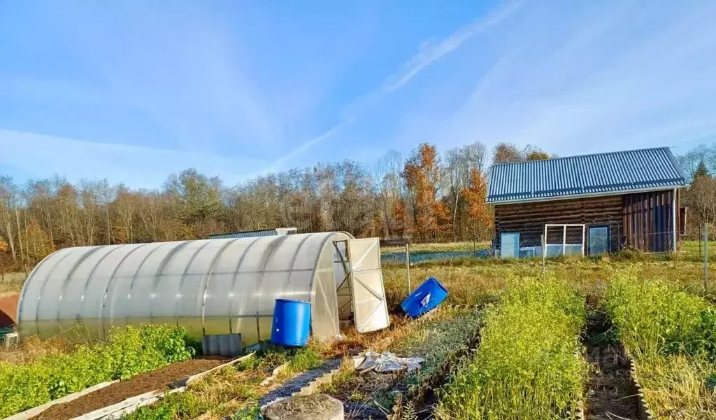 Дом в Псковская область, Опочецкий муниципальный округ, д. Молоково  ... - Фото 1