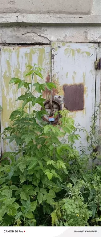 Помещение свободного назначения в Нижегородская область, Заволжье г. ... - Фото 2