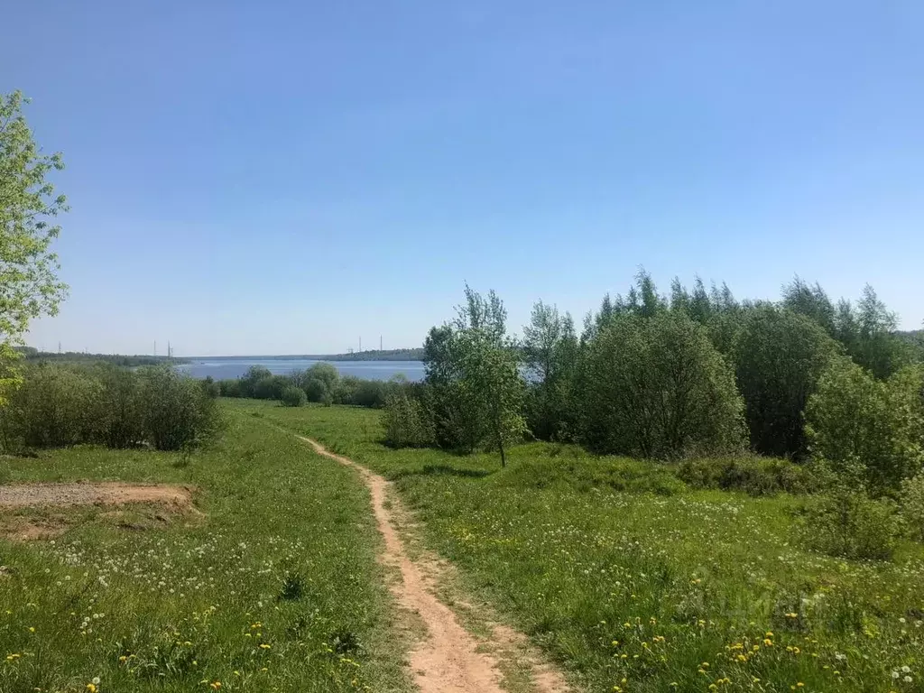 Участок в Вологодская область, Череповец Волгучинская ул. (8.0 сот.) - Фото 0