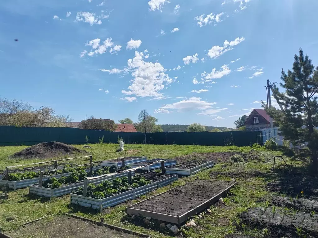 Участок в Свердловская область, Белоярский городской округ, с. ... - Фото 1